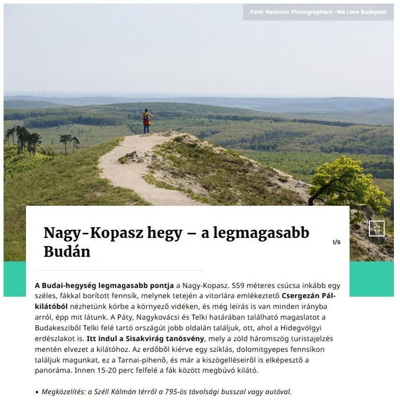 Elizavarlak Budapeste